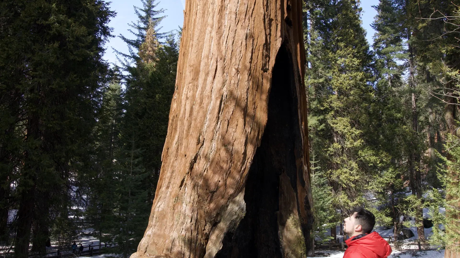 America the Beautiful Pass: quanto costa oggi il pass dei parchi USA per un turista italiano e quando conviene davvero