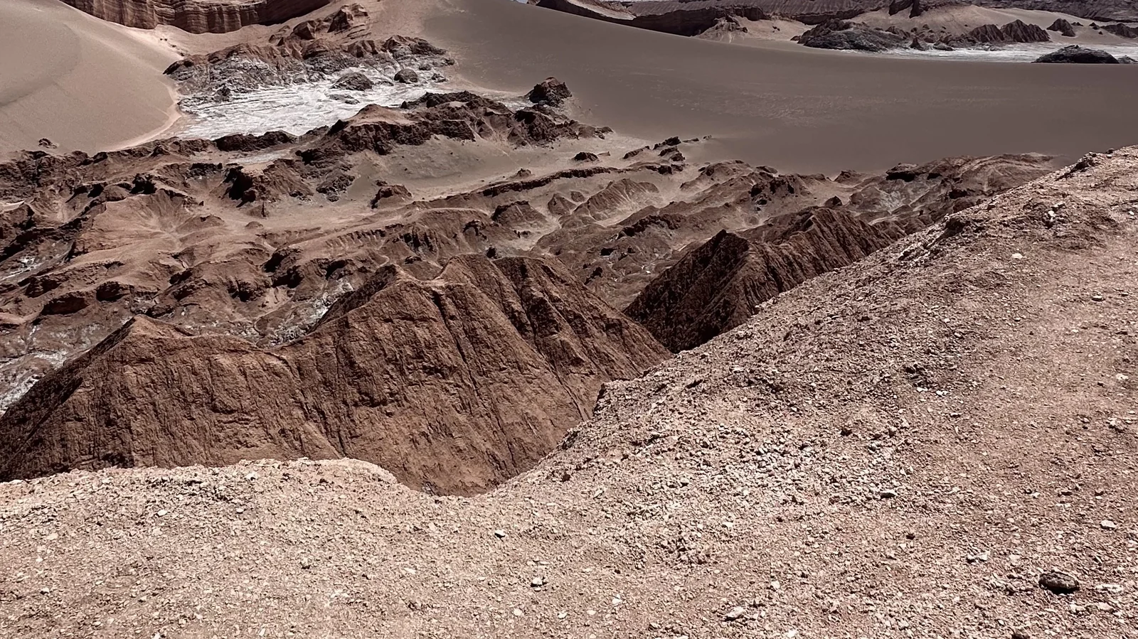 La grande duna di sabbia e le creste erose della Valle de la Luna viste dall'alto