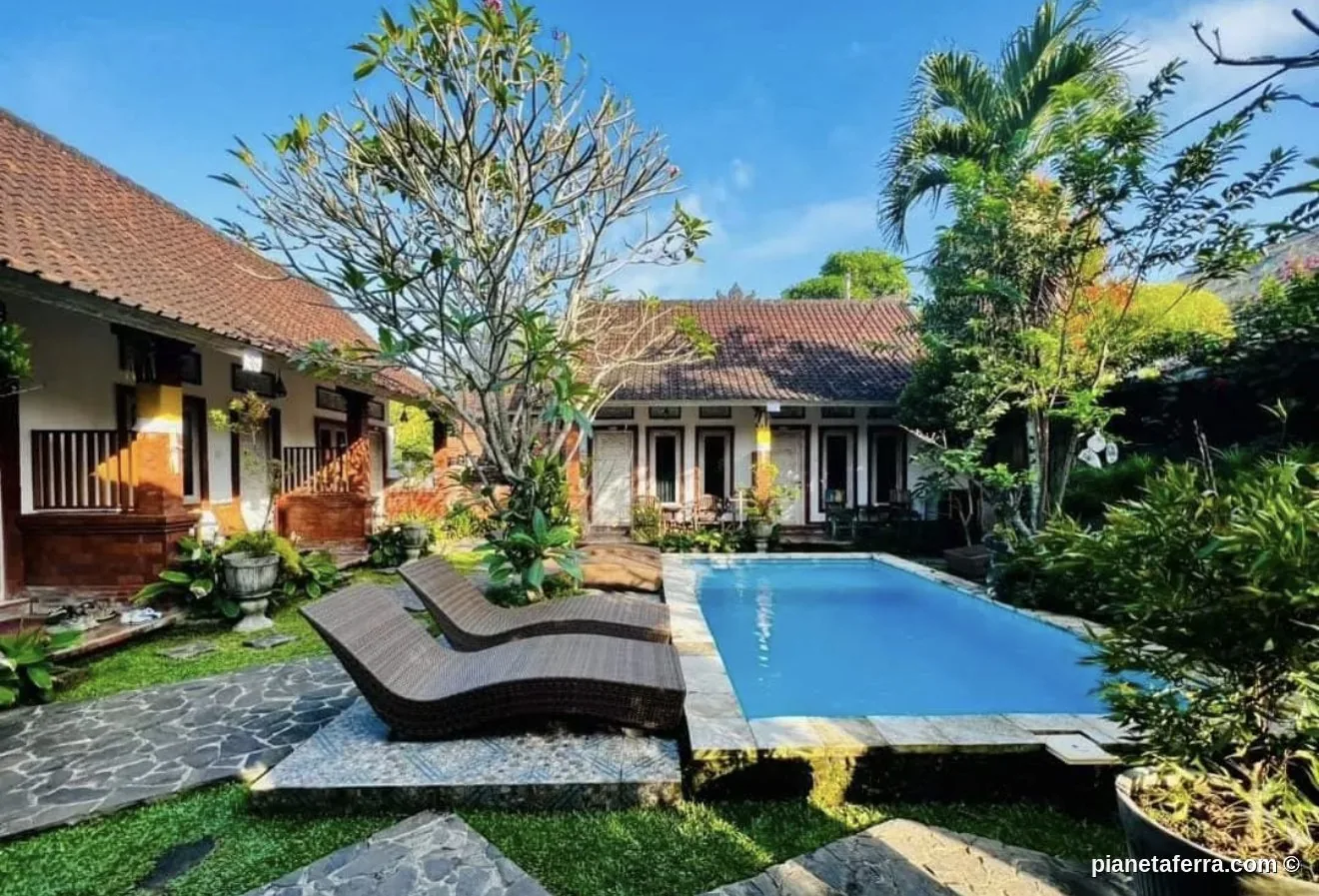 La piscina di Casa D'Sami immersa nel verde di Ubud