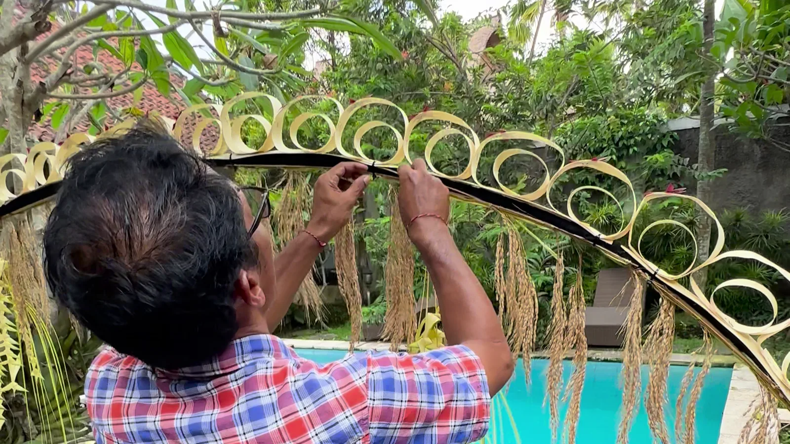Sami lega il penjor di Galungan nel giardino di Casa D'Sami, accanto alla piscina