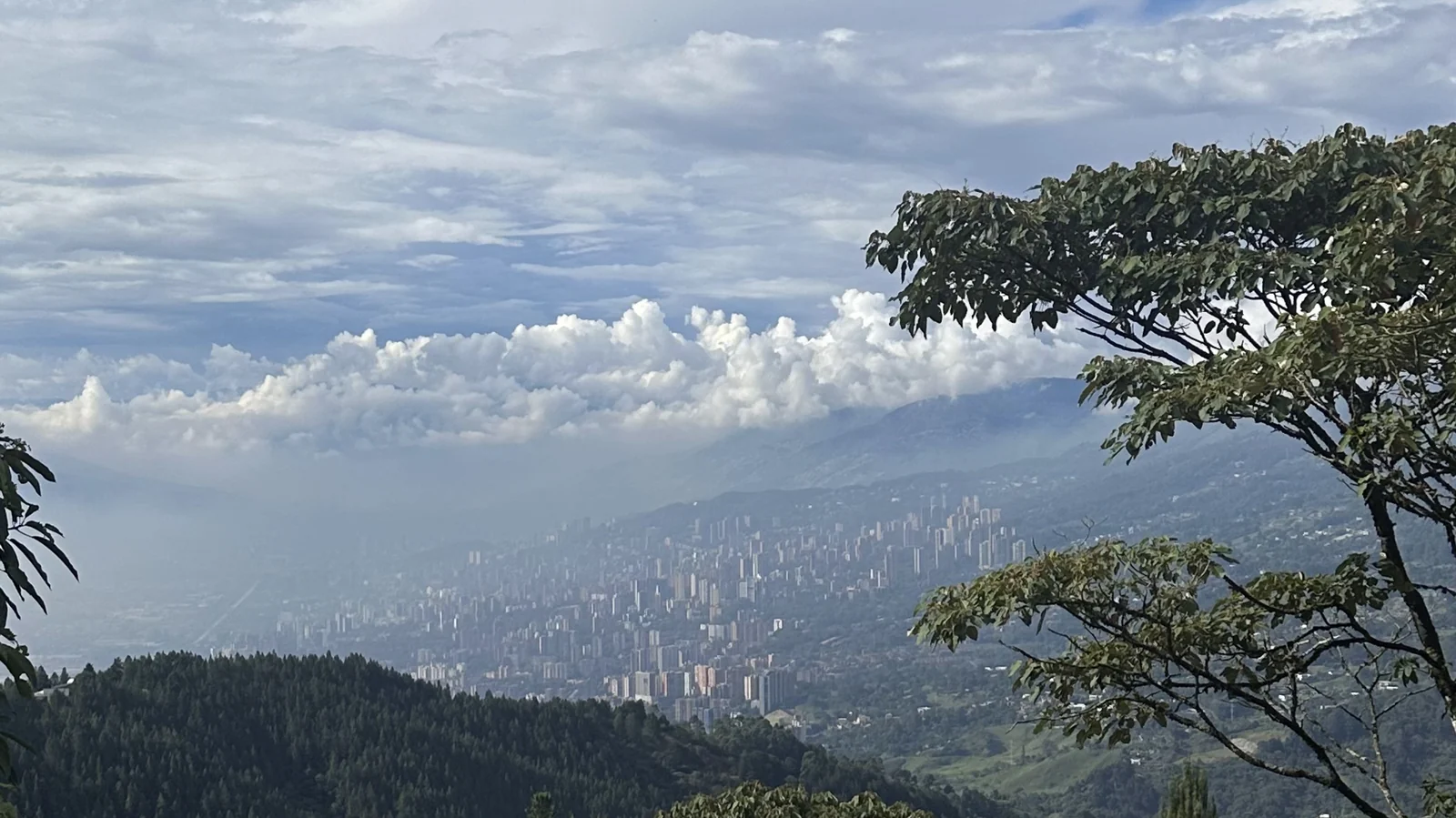 Panorama di Medellín vista dalle colline verdi che circondano la valle