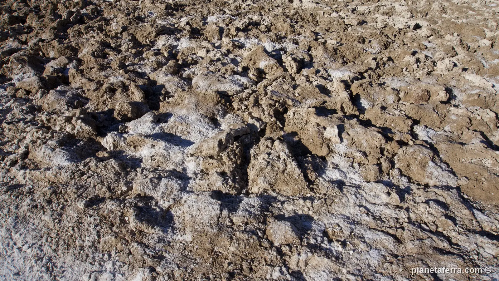 La crosta di sale di Badwater Basin, il punto più basso del Nord America, a febbraio 2022