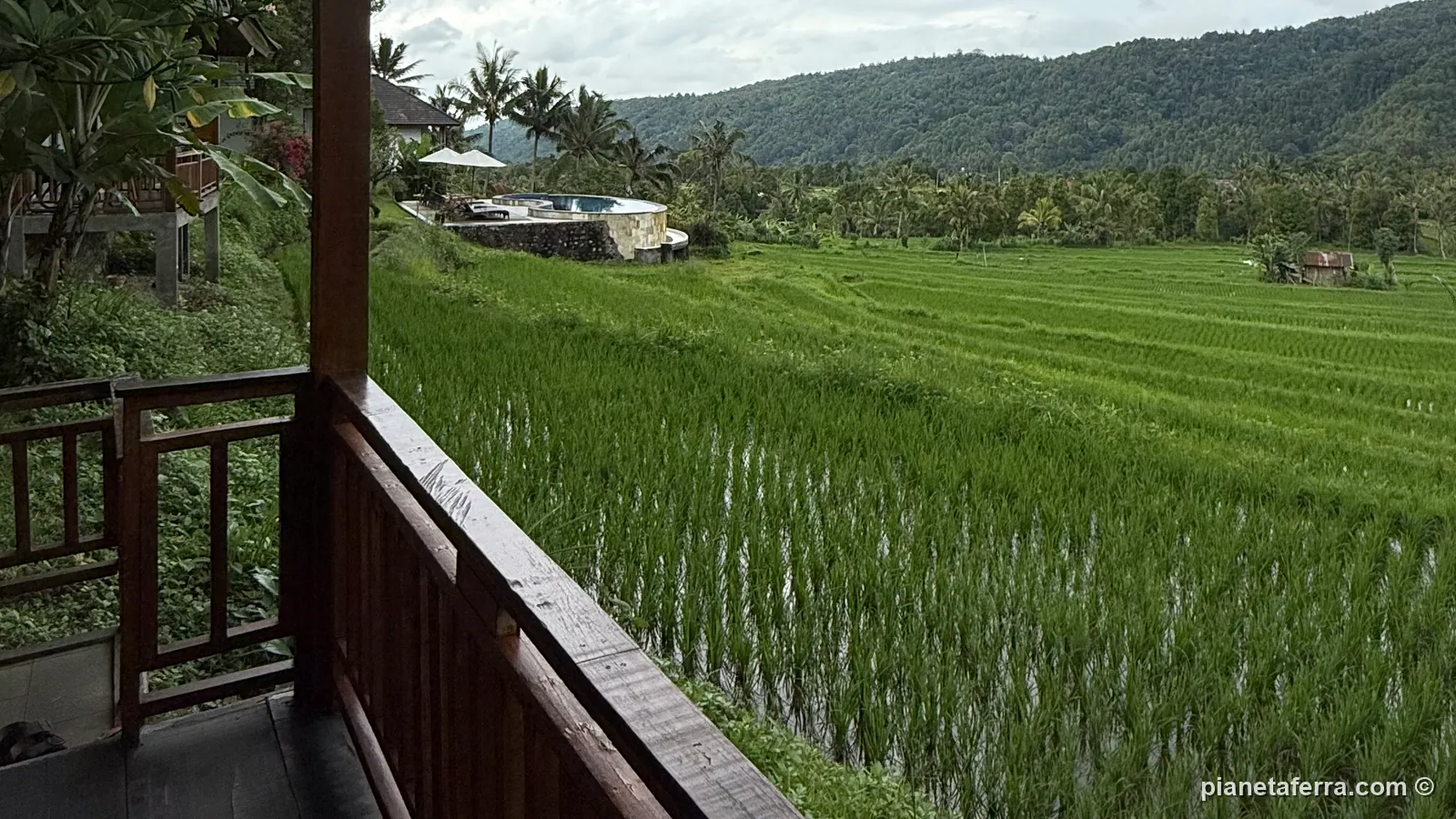 Il balcone in legno di una villa del Mayura Bali Villa affacciato sulle terrazze di riso verdi, con le montagne sullo sfondo