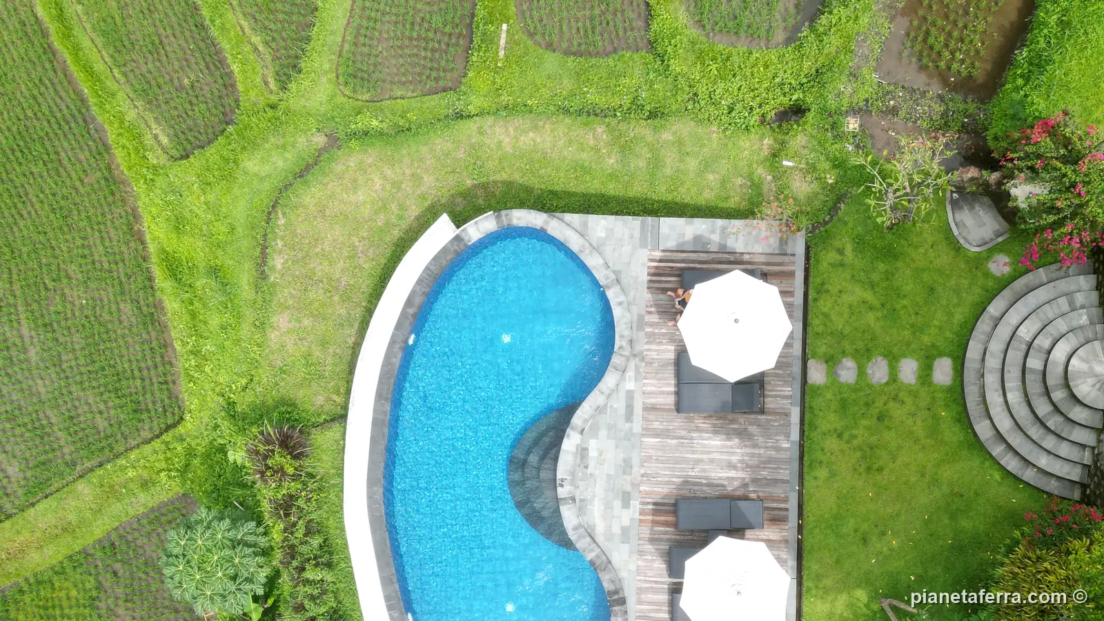 La piscina del Mayura Bali Villa vista dall'alto con il drone, con gli ombrelloni e le terrazze di riso intorno, vicino a Munduk