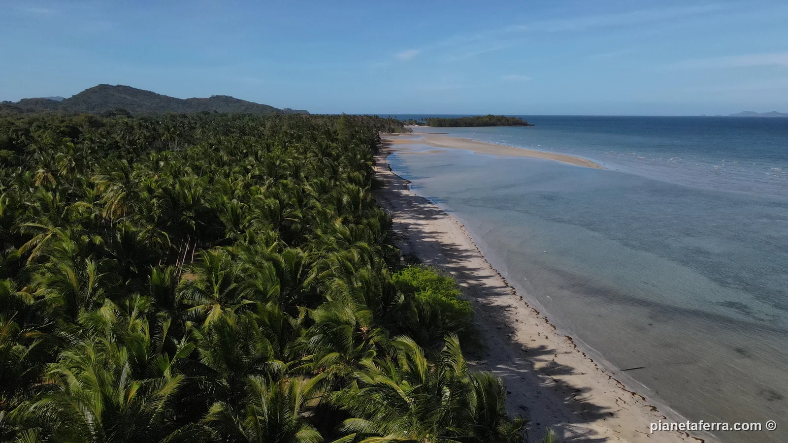 La costa est vicino a El Nido con il palmeto e la spiaggia deserta, vista dal drone, nel 2023