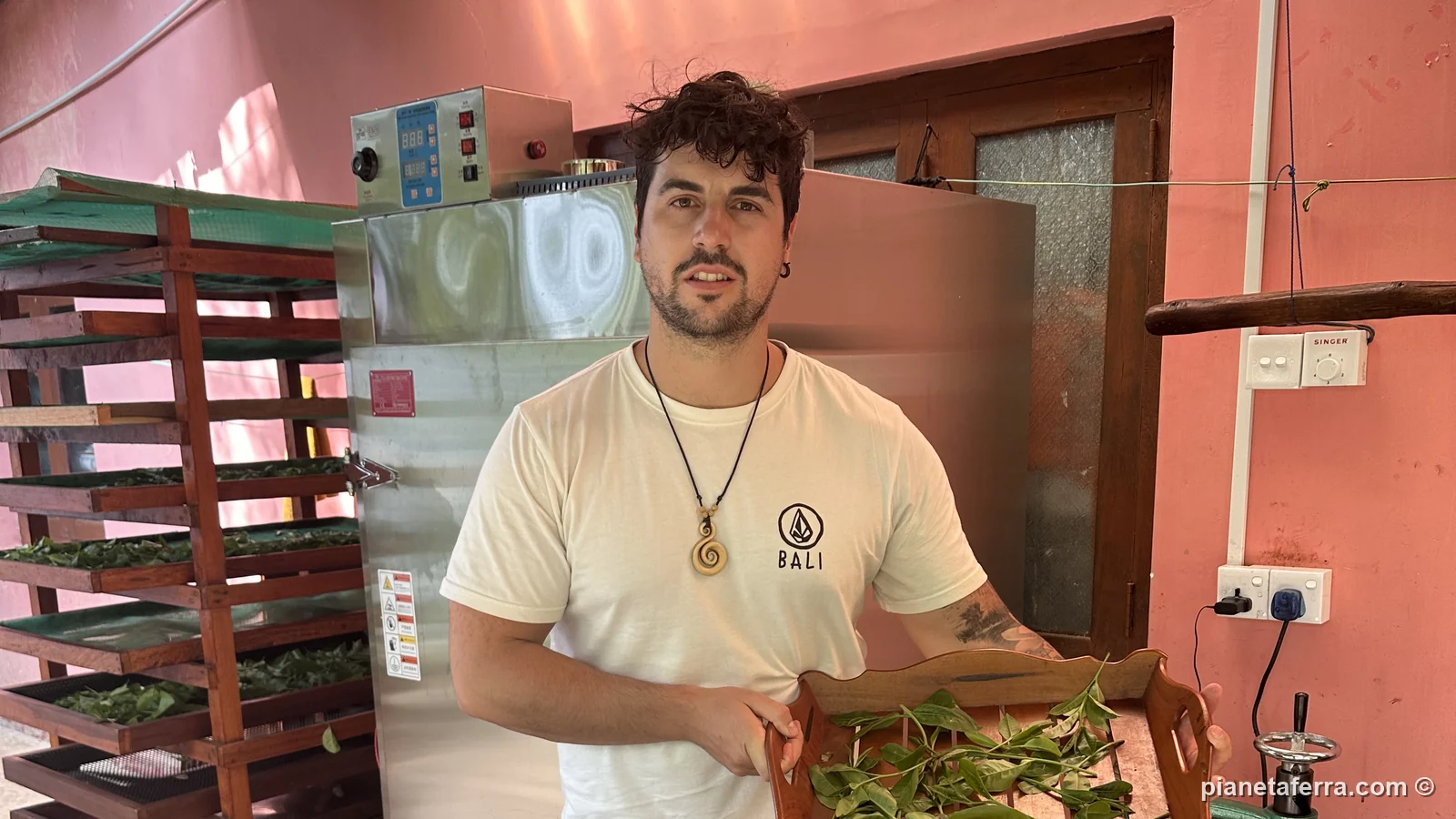 Luca Ferraina con le foglie di tè appena arrotolate durante il laboratorio all'Organic Tea Queen di Ella, a maggio 2024