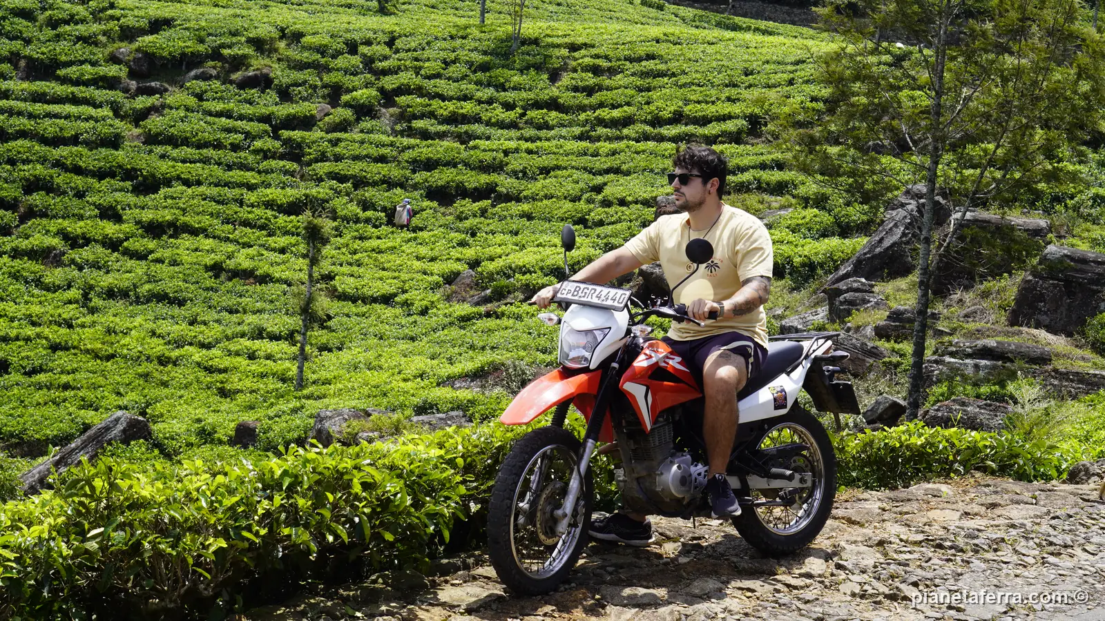 Luca Ferraina in moto tra le piantagioni di tè intorno a Bandarawela, vicino a Ella, a maggio 2024
