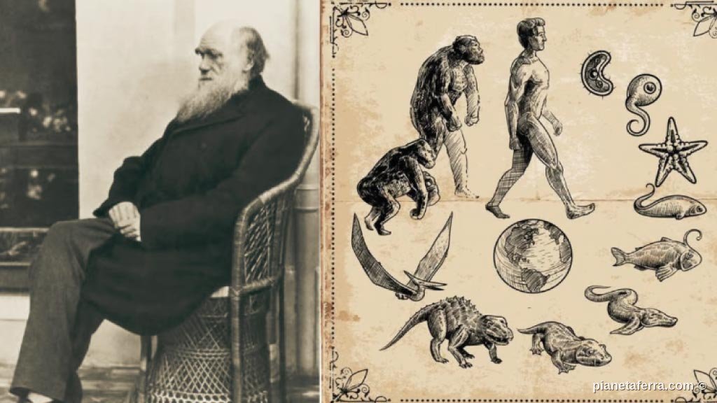 Charles Darwin e la teoria dell evoluzione alle Galápagos