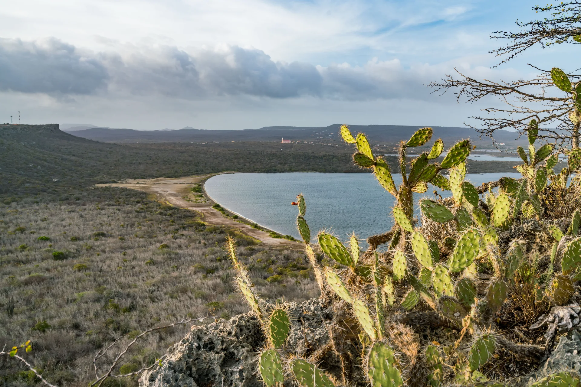Viaggio in Galápagos