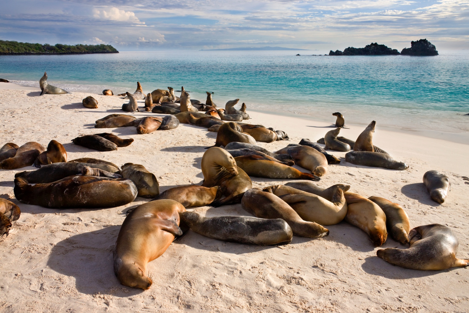 Galapagos: i 5 migliori spot per fare snorkelling