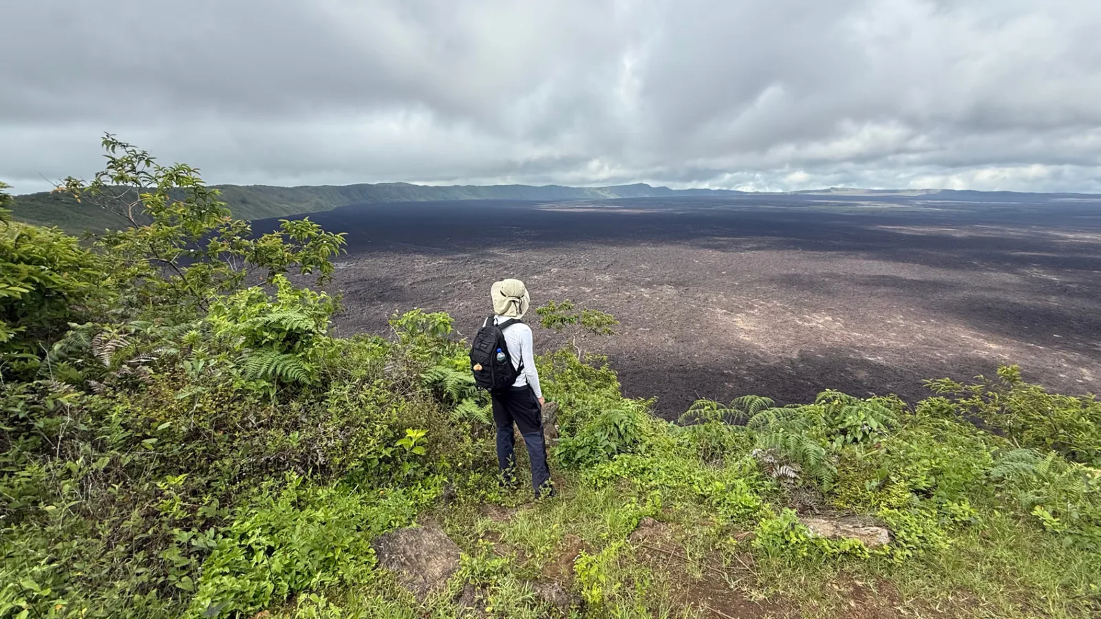Vista sul cratere del vulcano Sierra Negra a Isabela