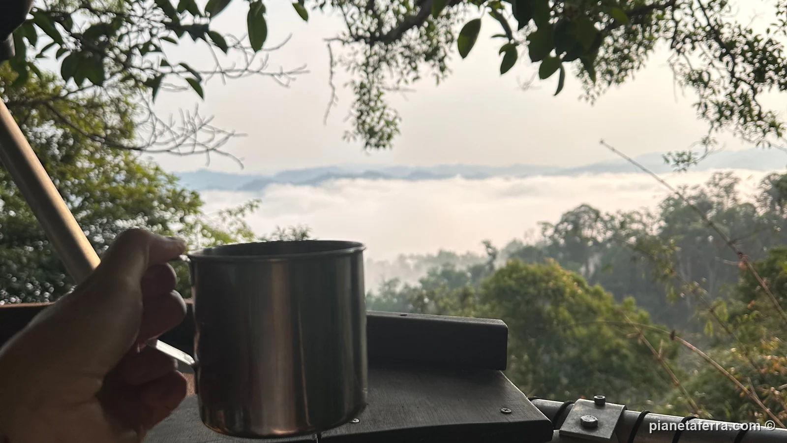 Una tazza di caffè all'alba dalla casa sull'albero, con la nebbia sulla foresta di Nam Kan