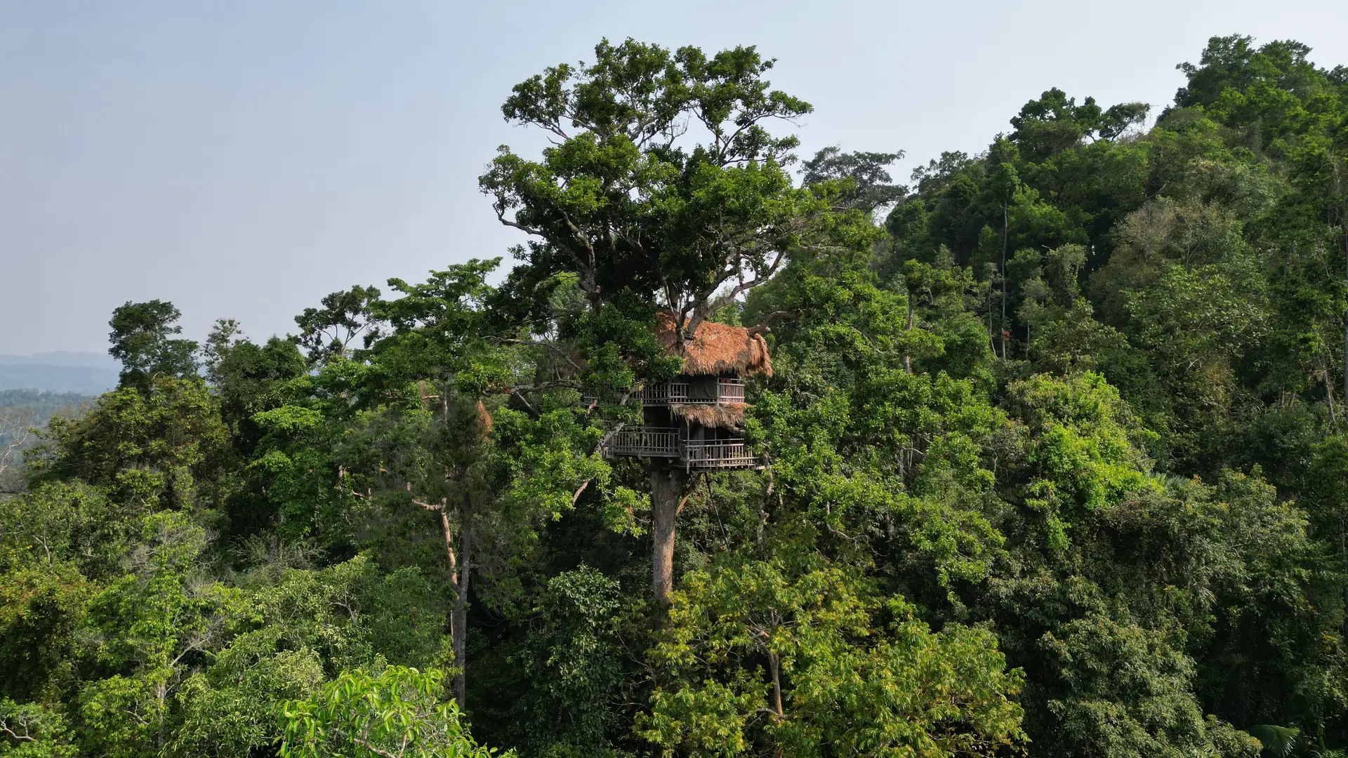 Gibbon Experience in Laos: tre giorni nelle case sull'albero, con costi, tour e come arrivare a Huay Xai