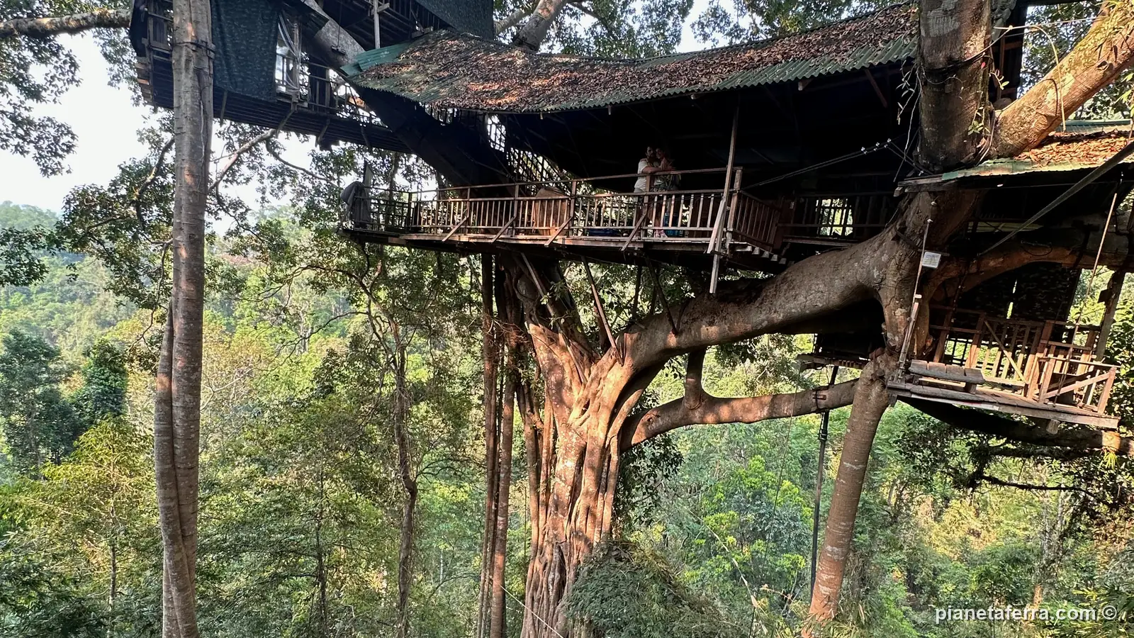 La casa sull'albero numero 1 della Gibbon Experience, su tre piani, nella foresta di Nam Kan