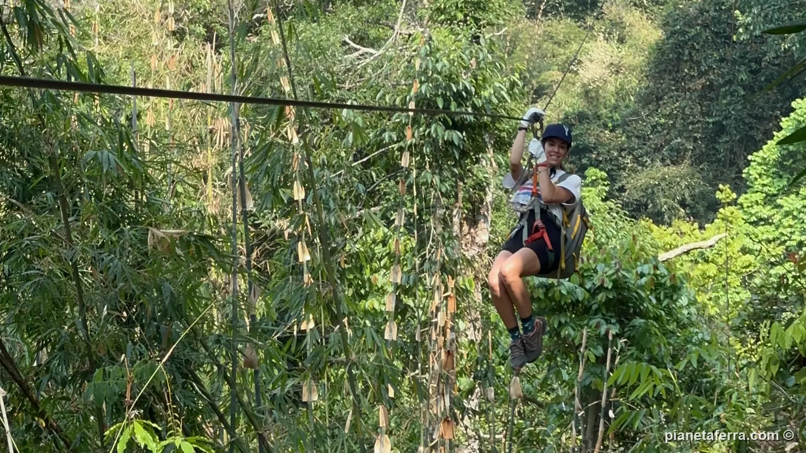 Una zipline della Gibbon Experience tra i bambù e la foresta di Nam Kan