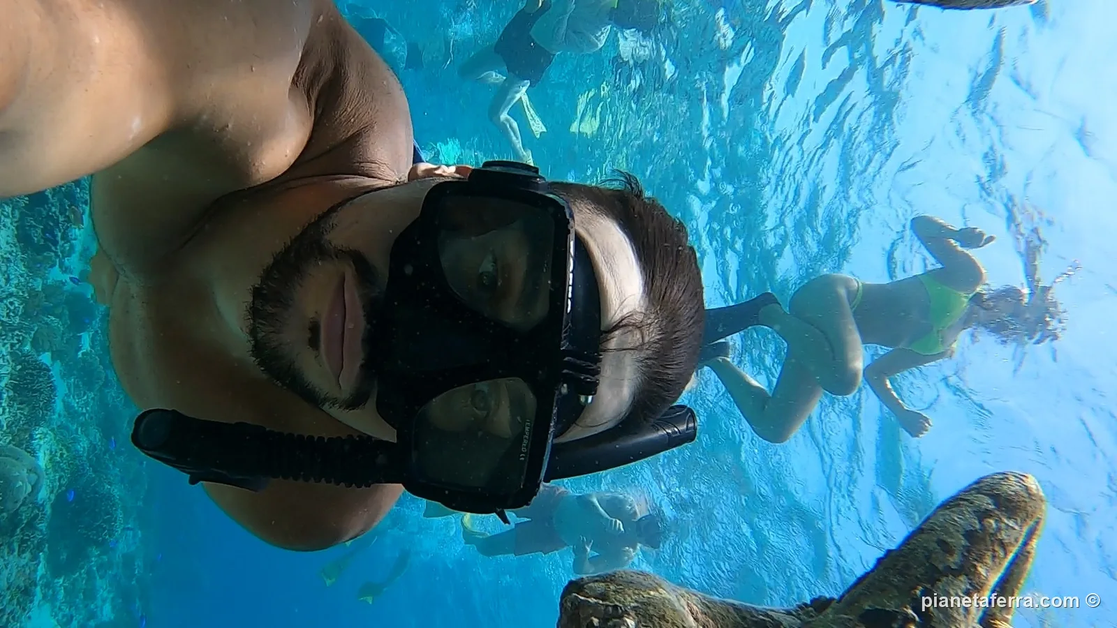 Tartaruga marina sulla barriera corallina durante lo snorkeling alle isole Gili