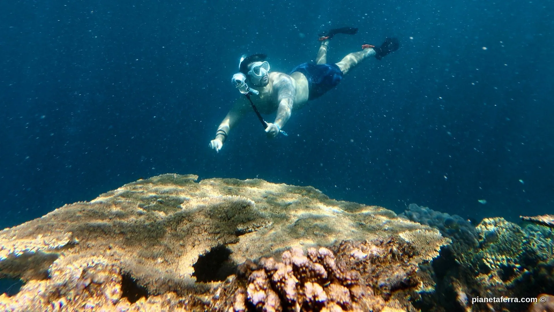 Riprese subacquee con Insta360 X5 durante snorkeling