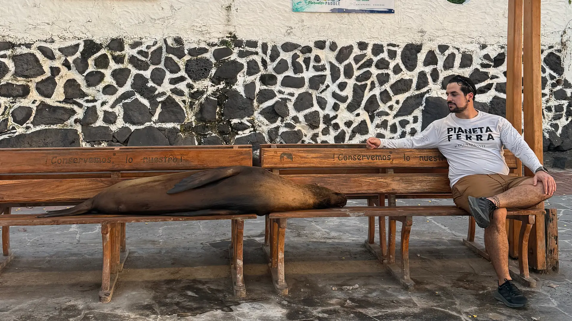 Isole Galápagos: dove si trovano, quali visitare e cosa vedere su ognuna