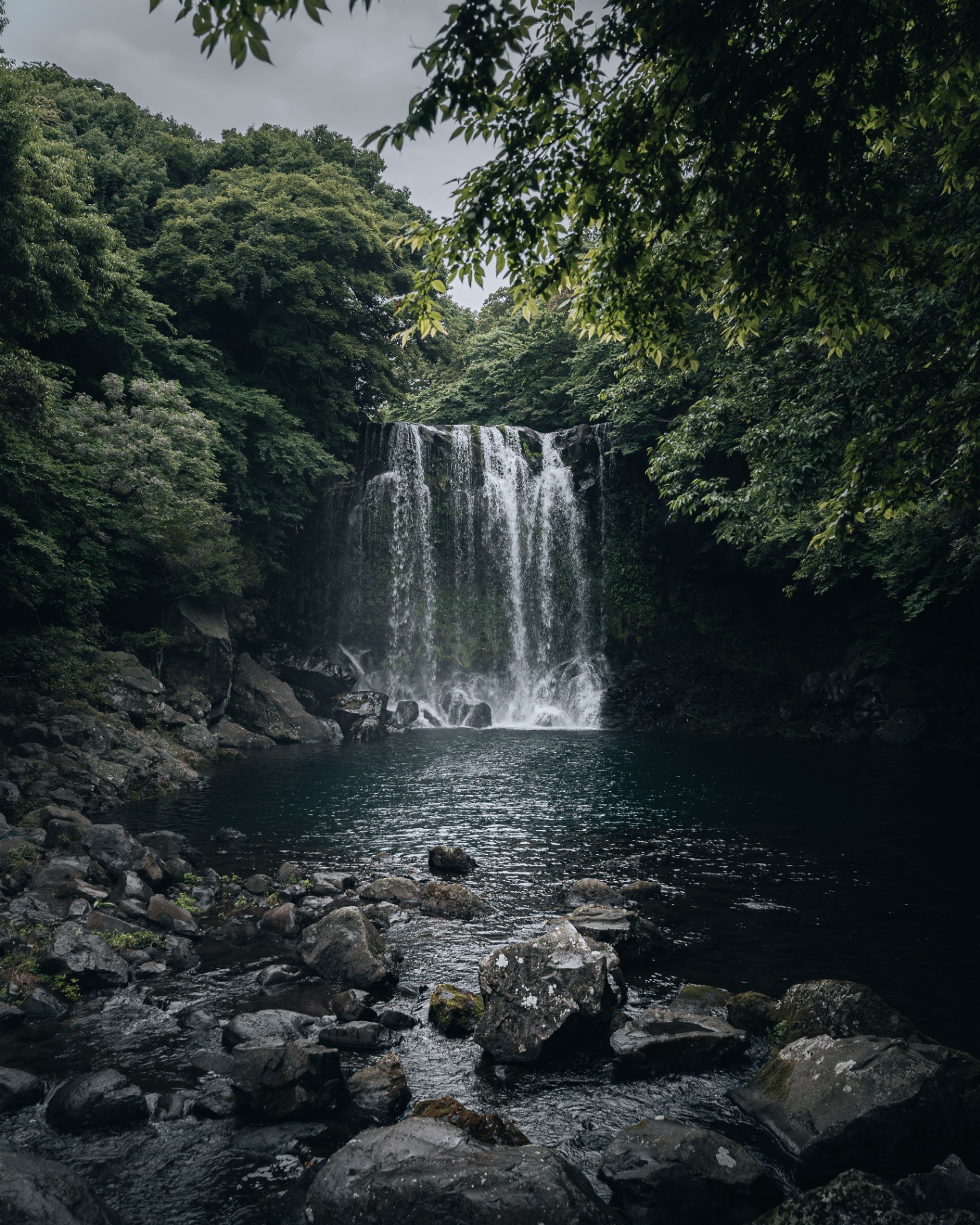 Cascata immersa nella foresta di Jeju, Corea del Sud