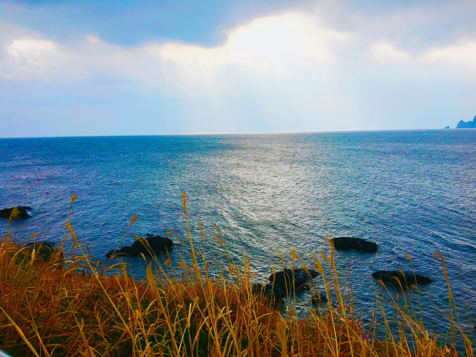 Vista sul mare di Jeju al tramonto tra le canne