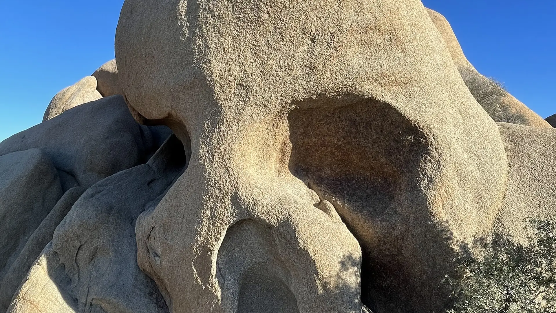 Joshua Tree National Park: cosa vedere in un giorno, quanto costa l'ingresso, quando andare e dove dormire