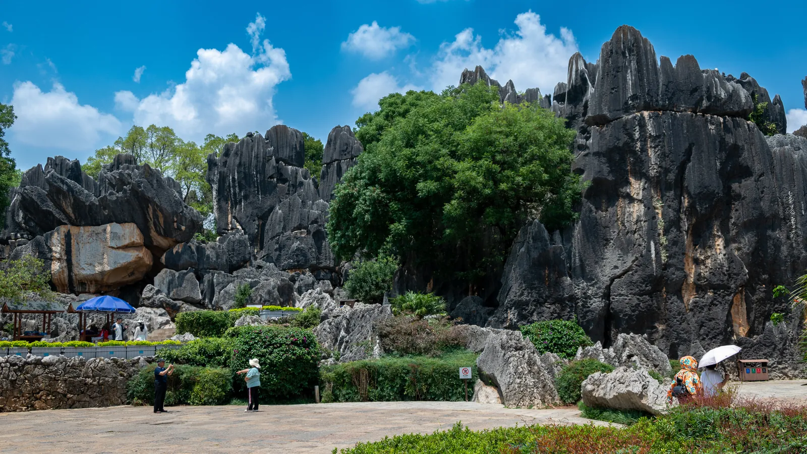 I pinnacoli di calcare della Foresta di Pietra di Shilin, vicino a Kunming