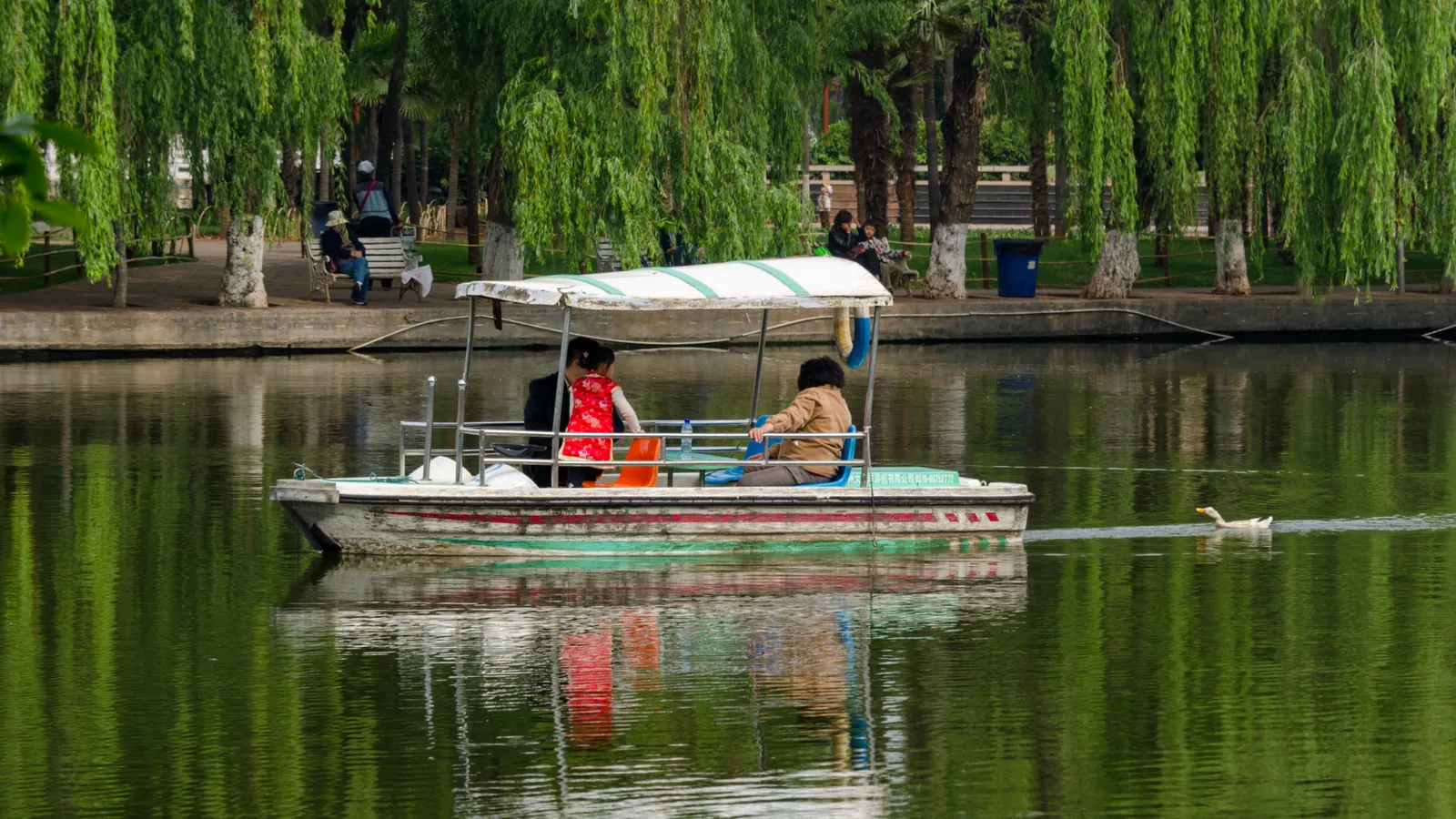 Una barca sul Lago Verde di Kunming, tra i salici