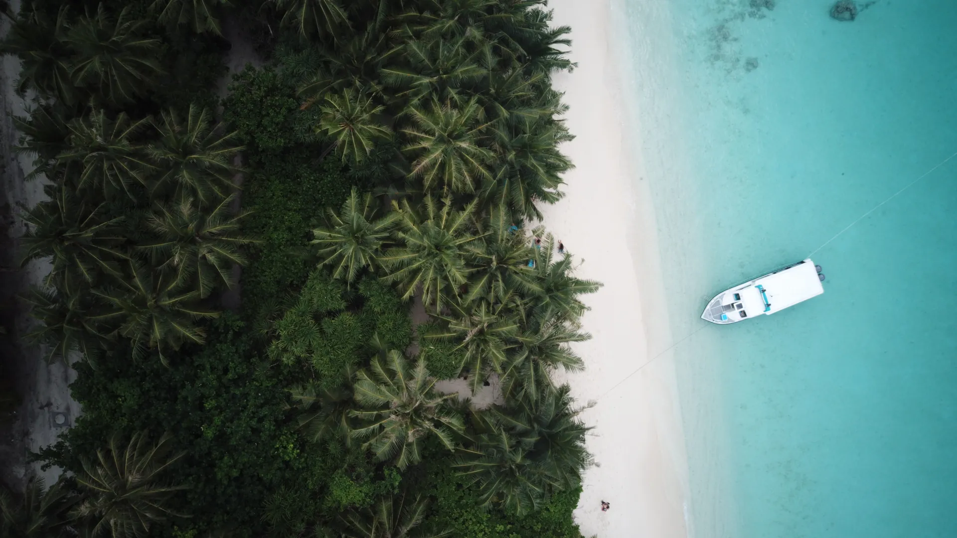 Perché le Maldive costano più di un anno fa: le tasse, il gasolio, e quanto pesa sul tuo viaggio