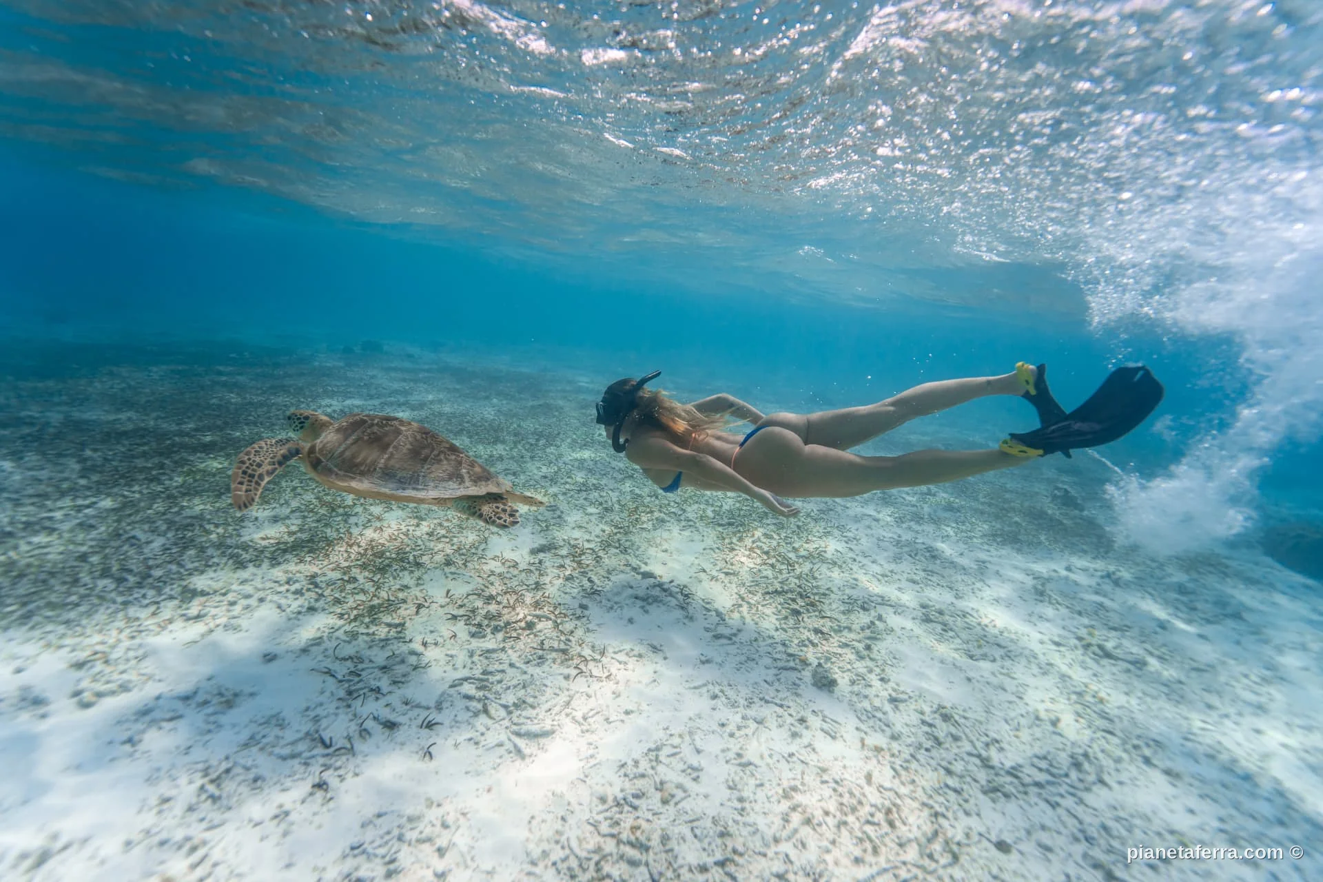 Snorkeling accanto a una tartaruga marina alle Maldive