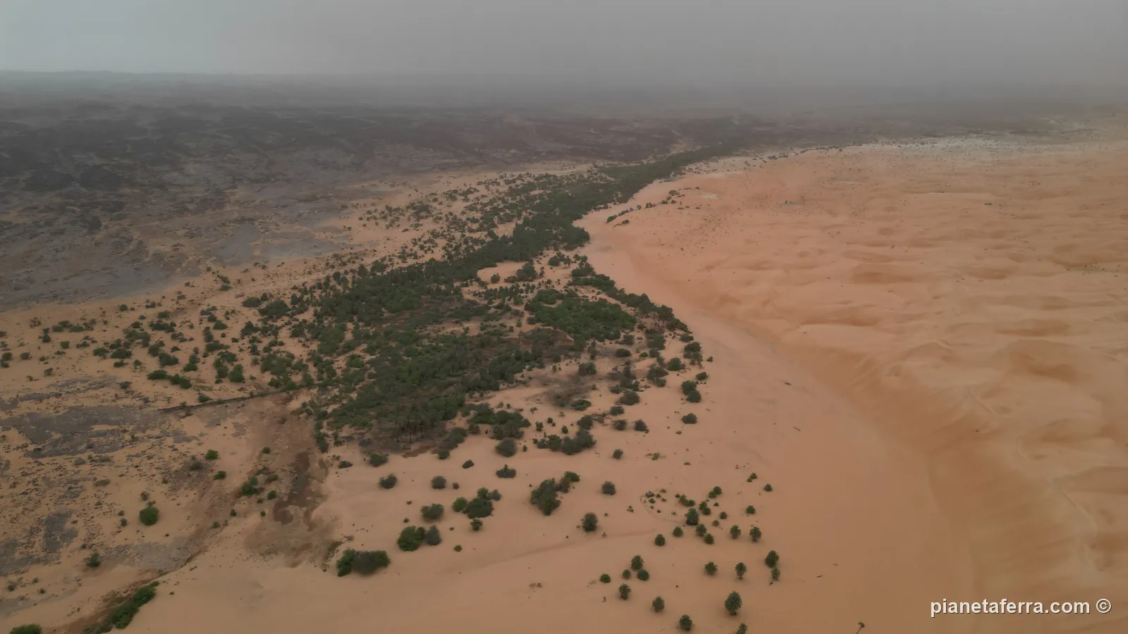 Le dune e la vegetazione del deserto mauritano viste dall'alto con il drone