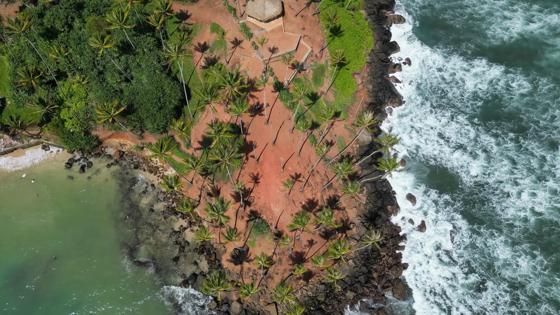 Mirissa, Sri Lanka: cosa fare tra Coconut Tree Hill, balene e tartarughe, e quando andarci