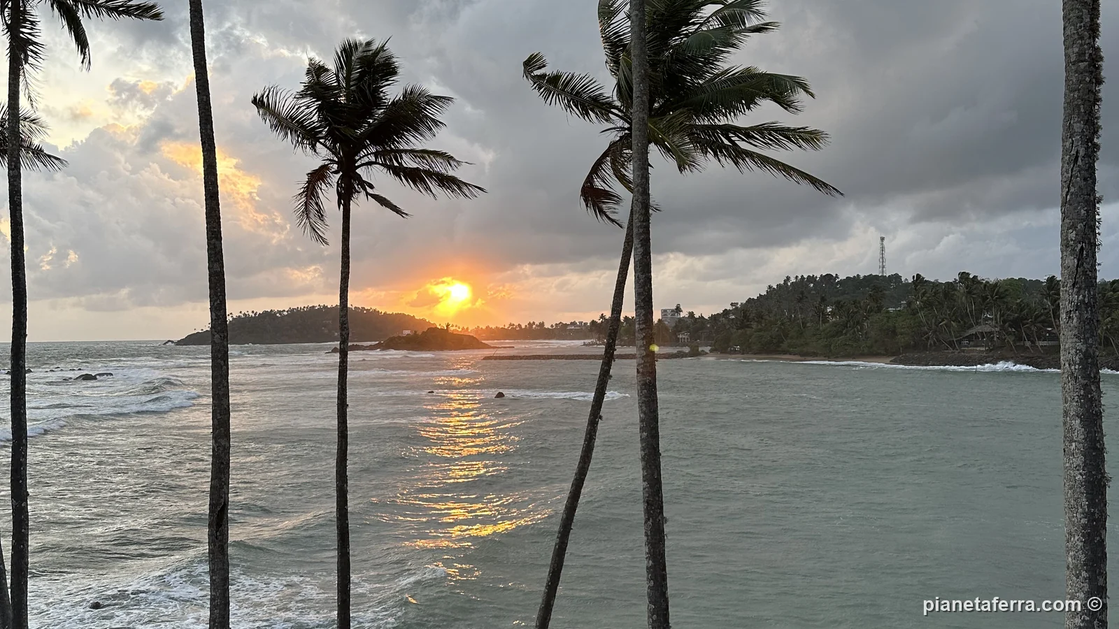 Il tramonto tra le palme di Coconut Tree Hill, a Mirissa, a giugno 2024