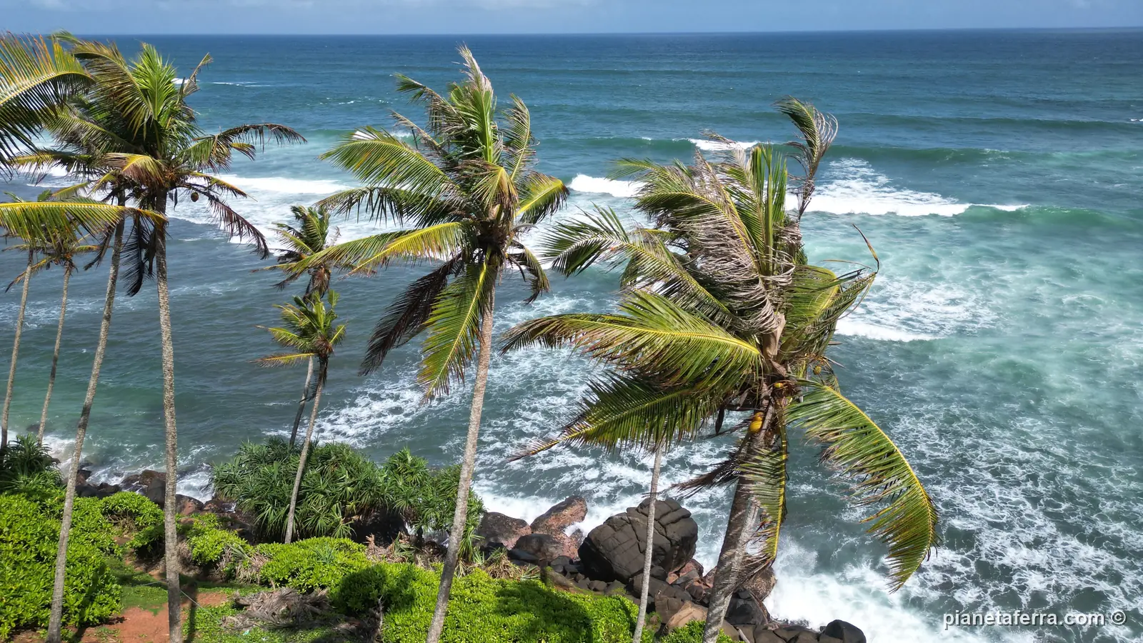 Le palme di Coconut Tree Hill sopra il mare mosso di Mirissa, a giugno 2024, durante il monsone di sud-ovest