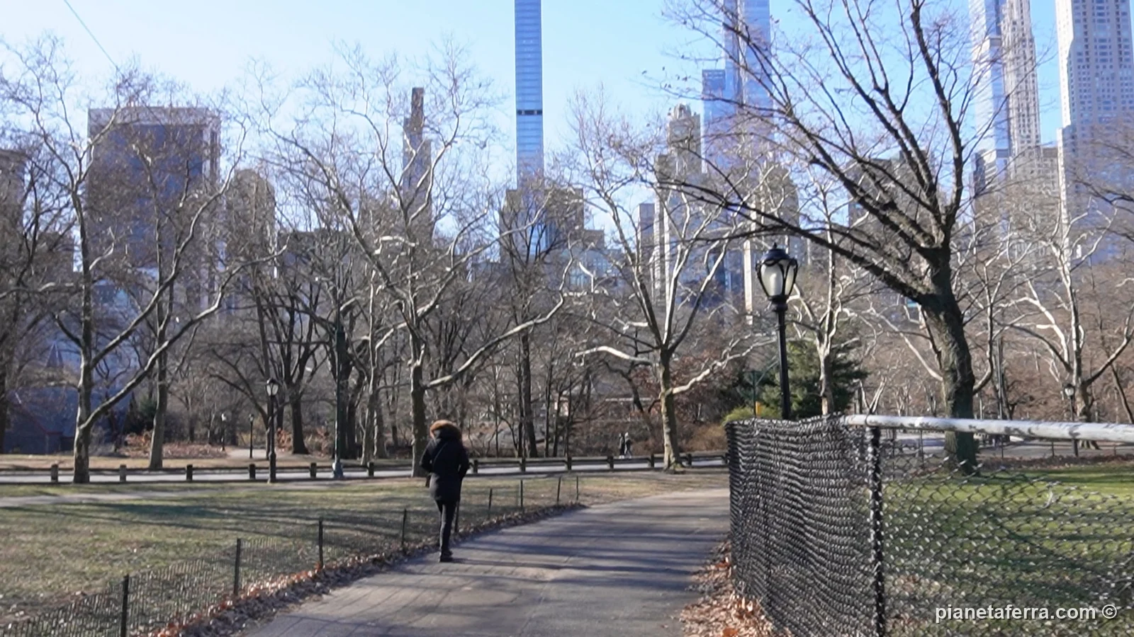Central Park d'inverno con gli alberi spogli e i grattacieli sullo sfondo, a gennaio 2022