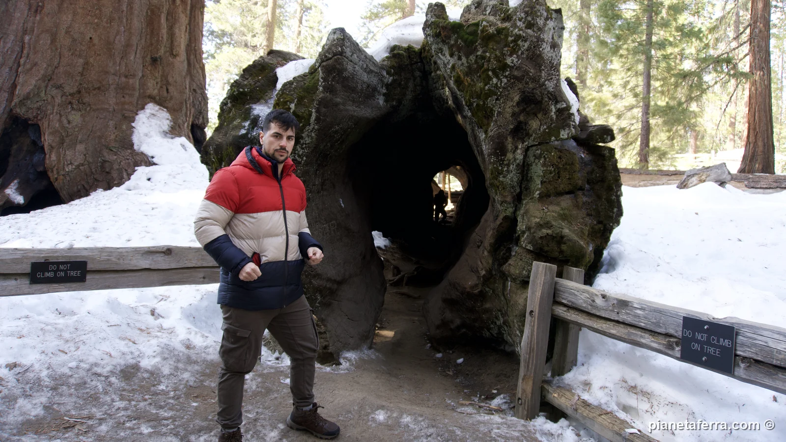 Luca davanti a un tronco cavo di sequoia gigante nella neve del Kings Canyon, a febbraio 2022