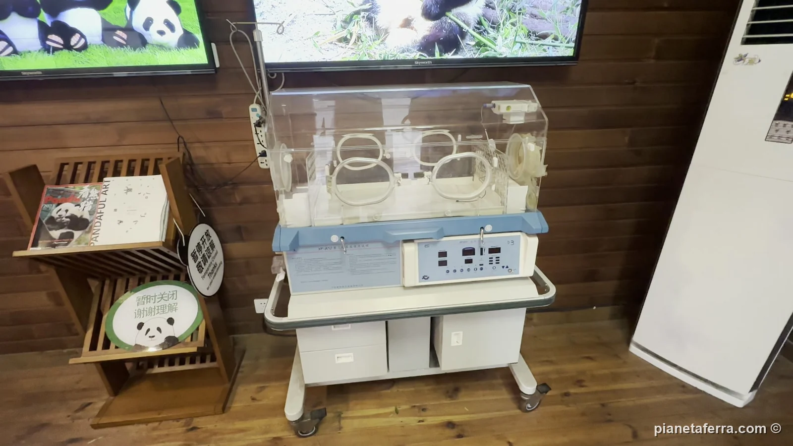 Un'incubatrice per i cuccioli di panda in una nursery della base di Chengdu, a maggio 2024
