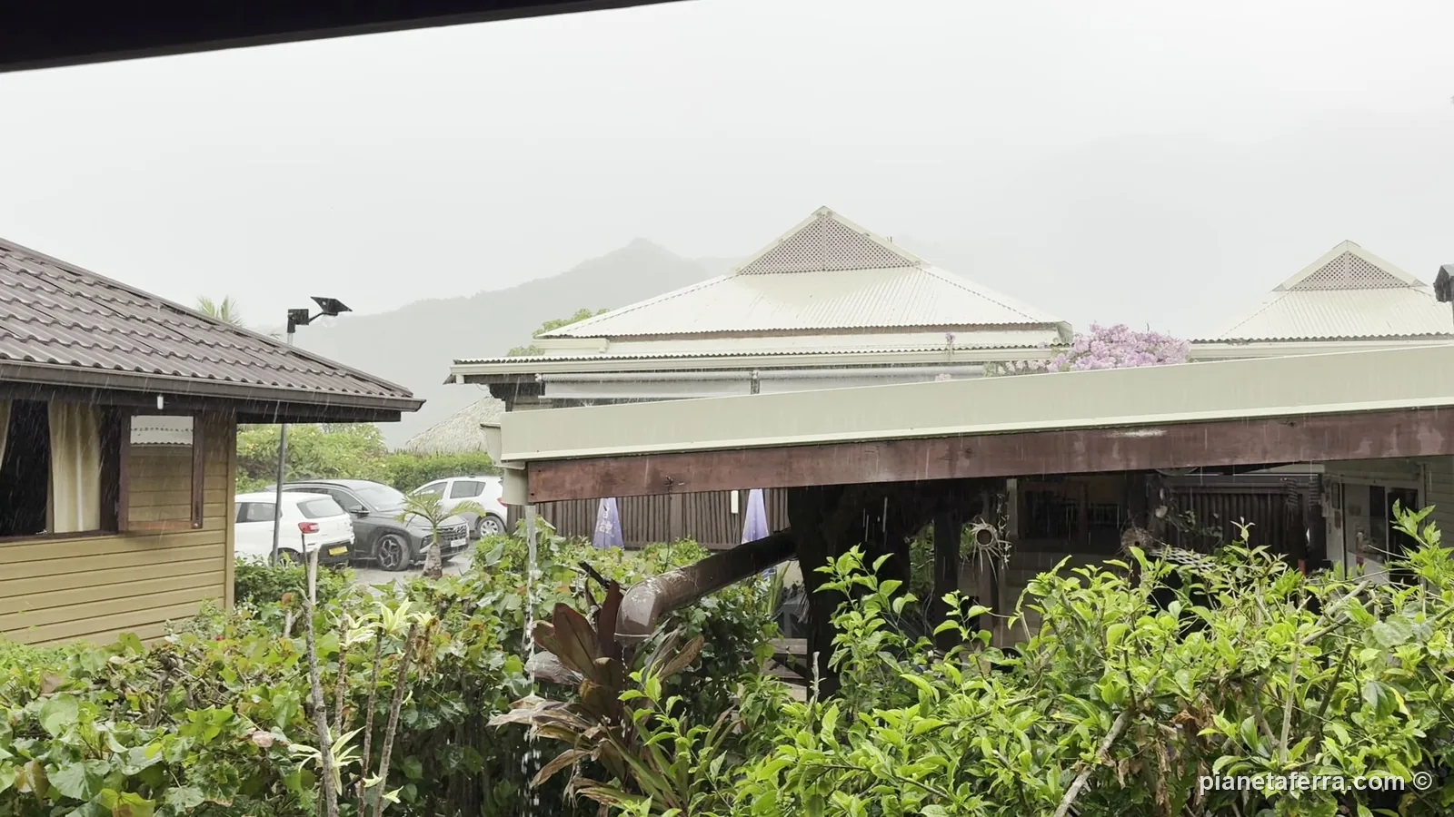 La pioggia fitta sul lodge di Moorea, con le montagne nascoste dalle nuvole, a metà novembre