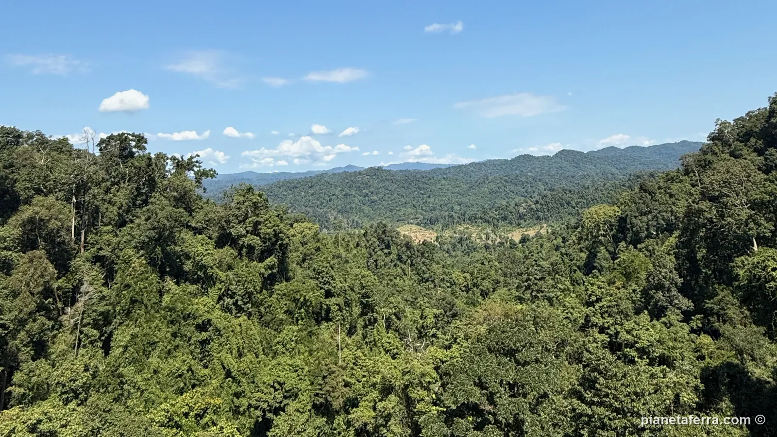 La foresta del parco di Nam Kan verde dopo le piogge, vista dall'alto durante la Gibbon Experience a fine ottobre