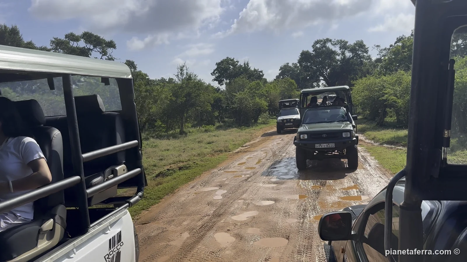 La coda di jeep sulla pista di Yala, durante il safari del mattino, a giugno 2024