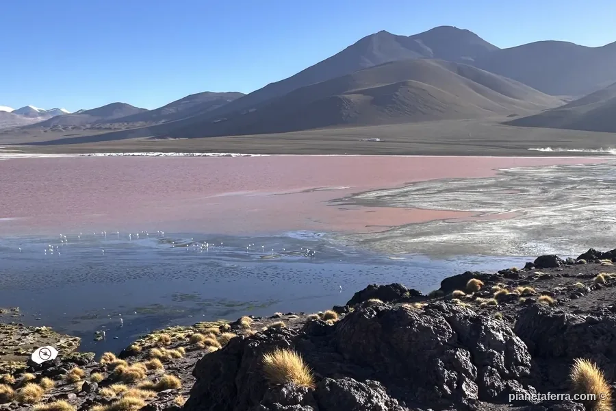Laguna Colorada nella Riserva Eduardo Avaroa, con l'acqua rossa e le montagne sullo sfondo