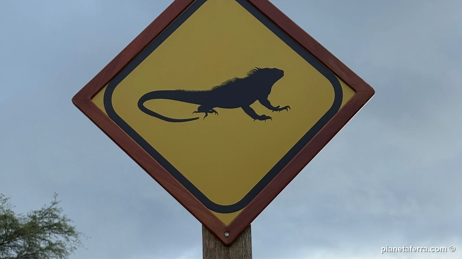 Il cartello stradale che avverte delle iguane in nidificazione a Puerto Baquerizo Moreno, ad aprile 2025