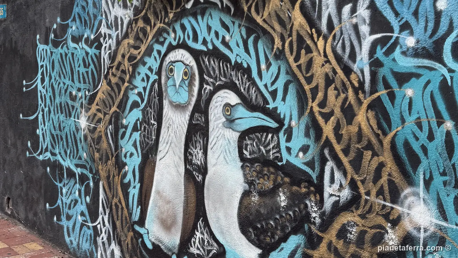 Un murale con le sule dai piedi azzurri sul lungomare di Puerto Ayora, ad aprile 2025