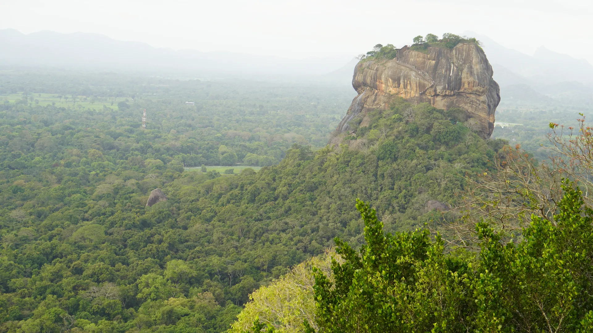Sigiriya: quanto costa la Lion Rock, conviene salire o andare a Pidurangala, e il viewpoint gratuito