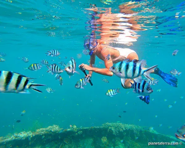 Snorkeling tra i coralli e i pesci tropicali a Coron