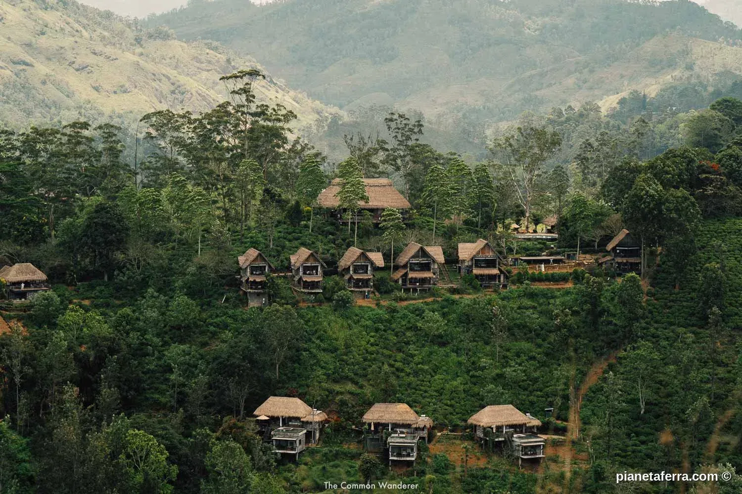 Bungalow tra le piantagioni di tè a Ella, Sri Lanka