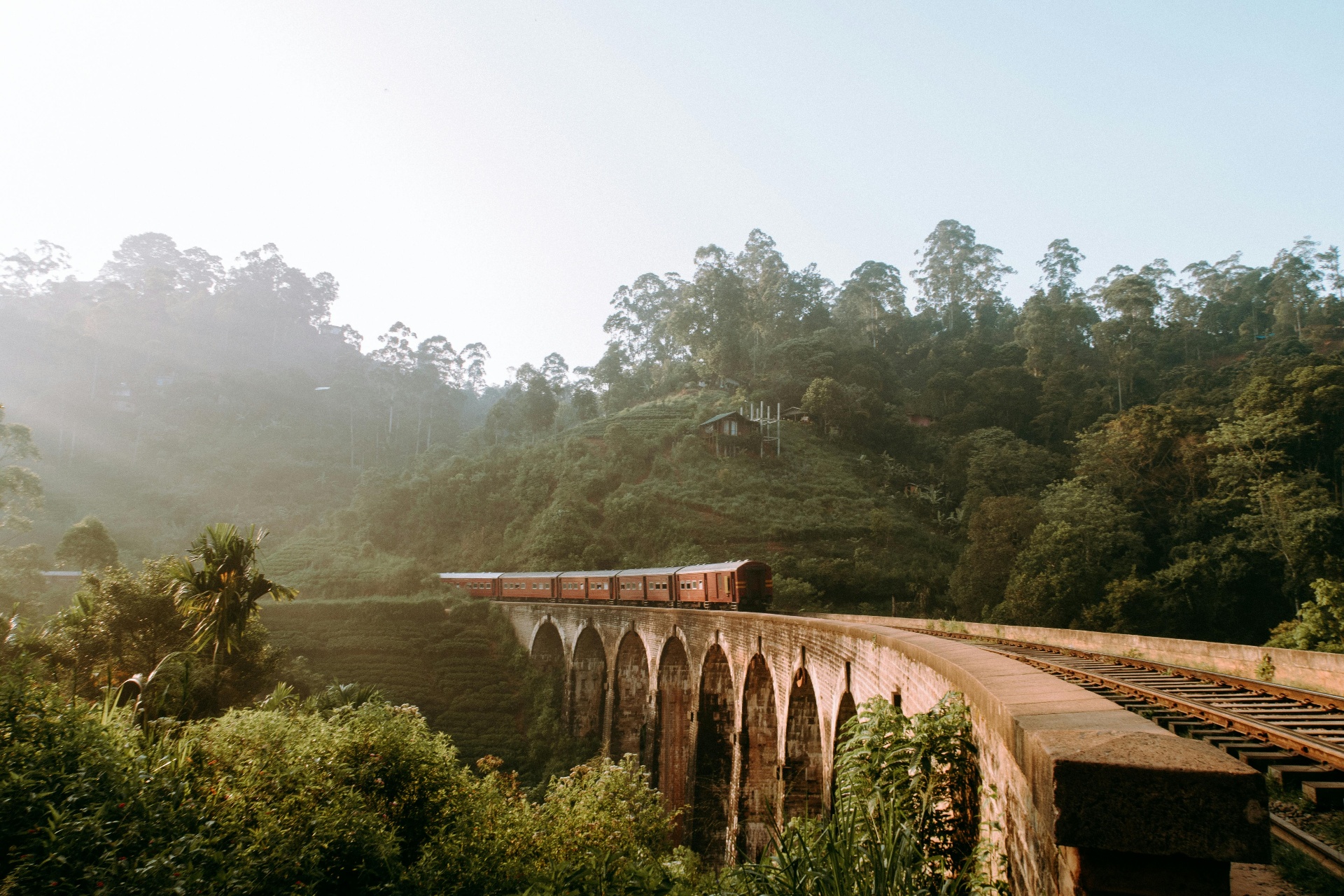 Viaggio in Sri Lanka: quando andare, quanto costa e cosa sapere prima di partire