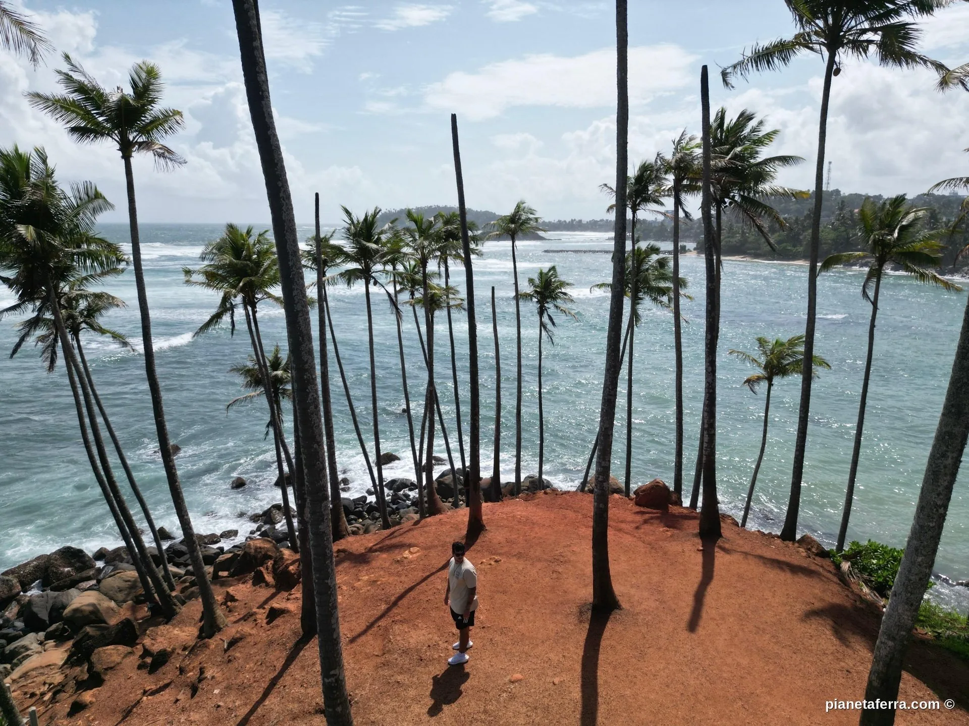 Le palme a picco sul mare della costa sud dello Sri Lanka