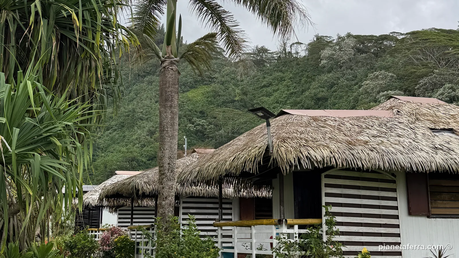 Il bungalow con il tetto di foglie del Fare Arearea, a Faaone, con le montagne di Tahiti alle spalle