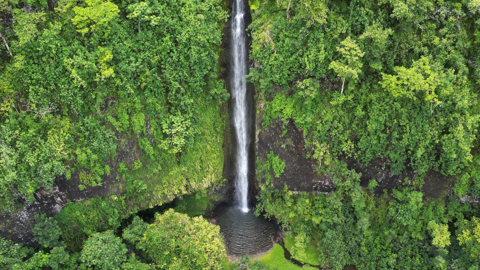 Cosa vedere a Tahiti: la Papenoo Valley, le roulotte di Papeete, Tahiti Iti e l'onda di Teahupo'o