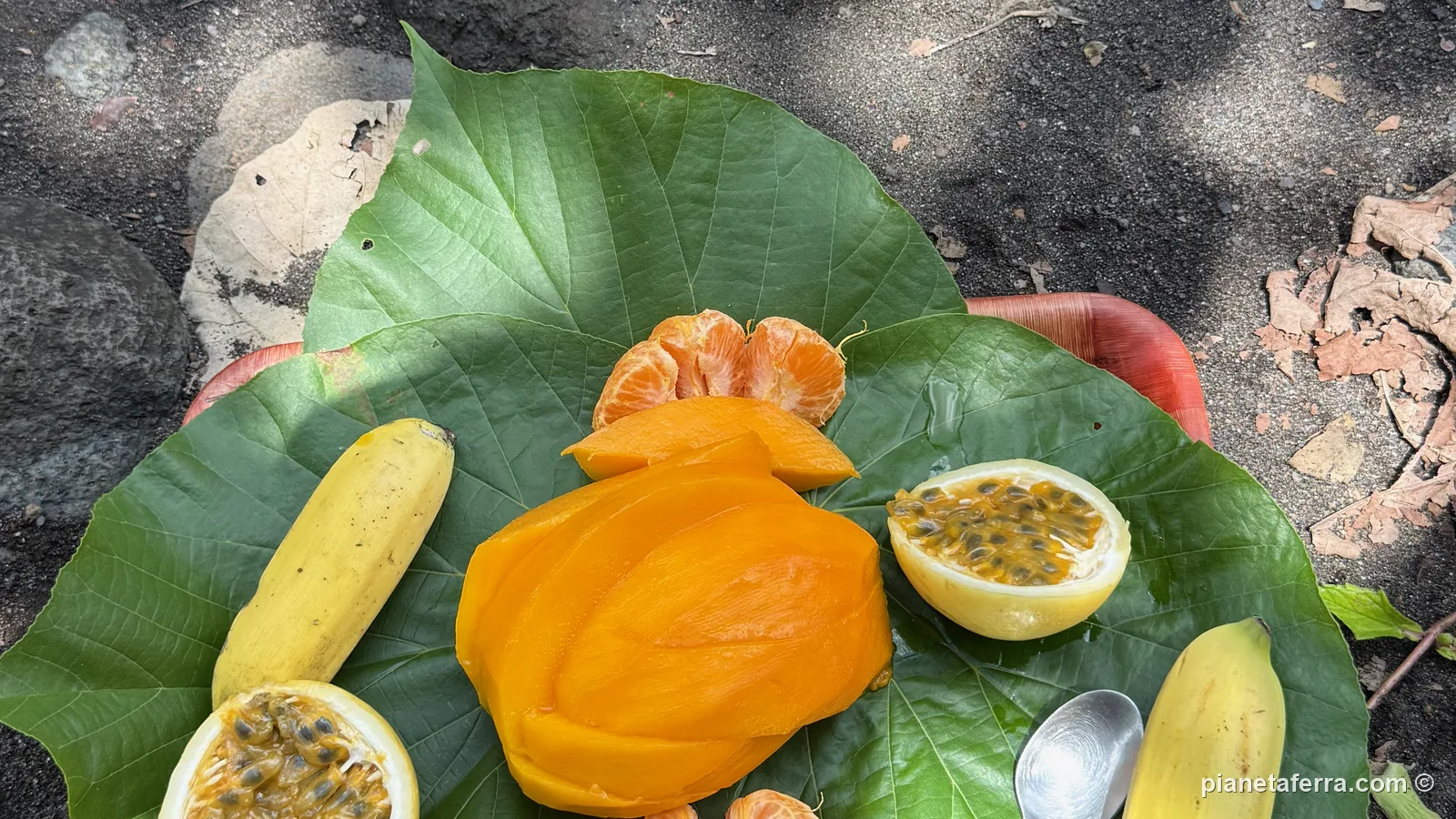 La degustazione di frutta servita su una foglia nella Papenoo Valley: mango, frutto della passione, mandarini e banane